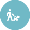 30 Minute Walk